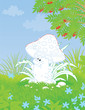 Amanita friendly smiling in a forest glade