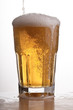Mug of Beer