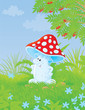 Fly agaric