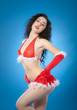 Sexy santa helper