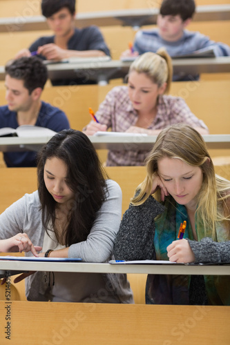 Photo: Students learning in a lecture hall with one girl using tablet Students learning in a lecture hall with one girl using tablet