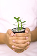 Foto: hands and tree hands and tree