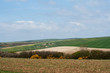 View over Sussex Downsin Spring
