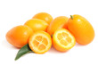 Kumquat with leaf