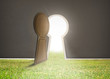 Foto: Doorway opening to bright light with grass Doorway opening to bright light with grass