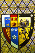 Photo: stained glass detail stained glass detail