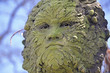 Photo: green man sculpture green man sculpture