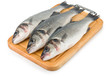 Foto: Fresh sea bass on white background Fresh sea bass on white background