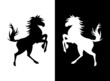 Silhouette von Pferd in schwarz und weiß
