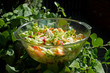 fresh garden salad
