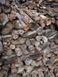 Logs