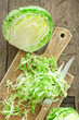 Cabbage