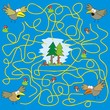 maze - birds