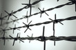 Perspective view of new barbed wire.