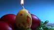 eggs ornament in blue background
