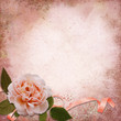 Rose on a vintage background