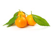 Tangerine isolated