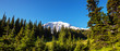 Mt.Rainier