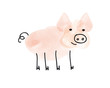 Schwein