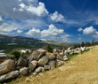Summer mountain landscape