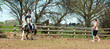Lesson on the lunge