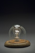 Lightbulb in glass dome