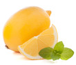 Photo: Lemon or citron citrus fruit Lemon or citron citrus fruit