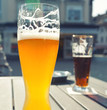 Glass of beer