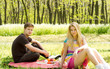Couple on a picnic date