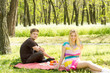 Happy young couple on a picnic date