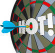 Hot Dart Popular Great Performance Dartboard