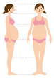 pregnant woman body
