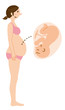 pregnant woman side