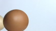 Different shell color eggs
