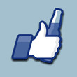 Like icon with beer bottle, vector Eps10 illustration.