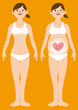 Woman Pregnancy