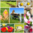 Sommer Zeit