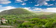 mountain and forest panorama