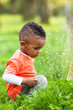 Outdoor portrait of a cute young  little black boy playing outsi