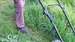 Mowing the lawn