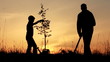 Father and son planting a tree. Sunrise. Silhouette. Spring.