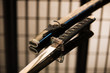 Photo: Katana with sheath reversed laying on table Katana with sheath reversed laying on table