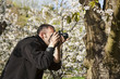 Fotografiando cerezos en flor