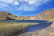 Lake overgrown with high grass
