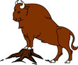 un bison