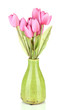 Beautiful bouquet of pink tulips in vase, isolated on white