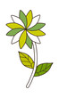 Vector: icon_ Flower icon_ Flower