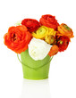 Ranunculus (persian buttercups) in pail, isolated on white