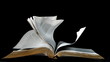 Pages of the bible turning in the wind on black background