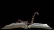 Rosary beads falling onto open bible on black background